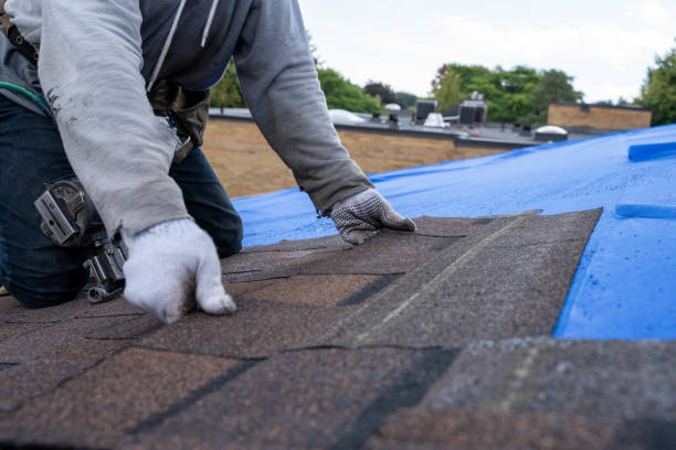 Best Roof Maintenance Services  in Ogdensburg, NY