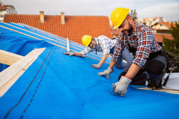 Best Roof Repair Services  in Ogdensburg, NY